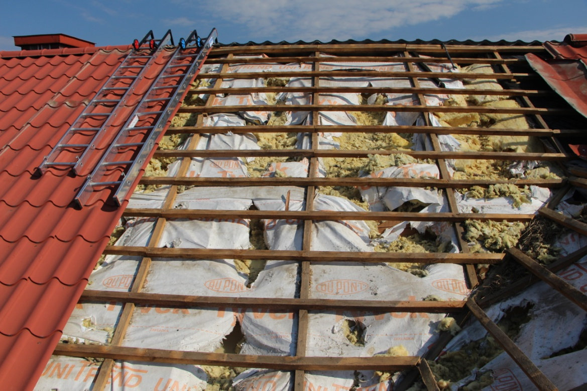 ełna mineralna-uszkodzona przez kunę dach 2